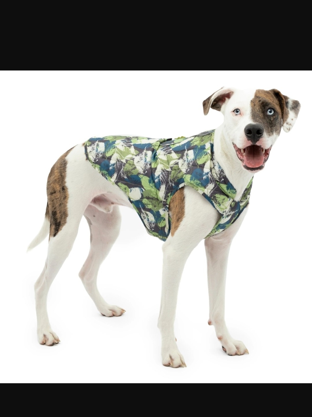Kurgo Tropical Leaf Dog Vest — Green & Blue